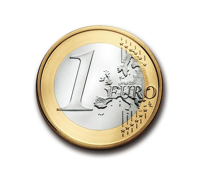 1 EURO